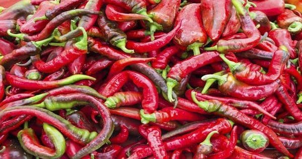 blog picture of a bunch of red peppers