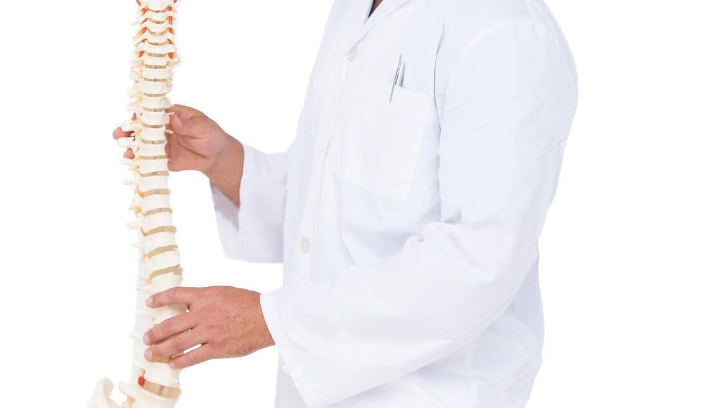 chiropractor showing spine model