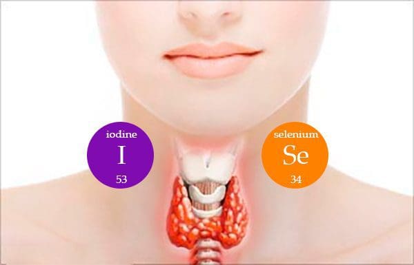 Environmental Factors Behind Thyroid Disease | Wellness Clinic