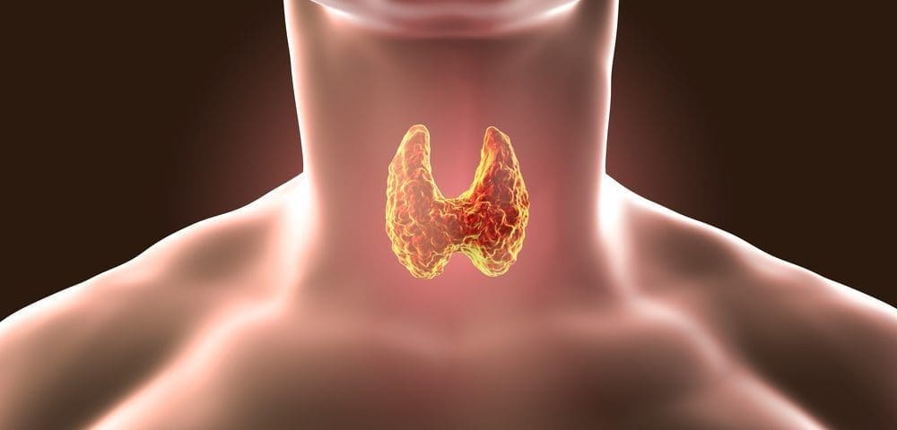 La prevalencia de la enfermedad autoinmune en la tiroides | Clínica de bienestar