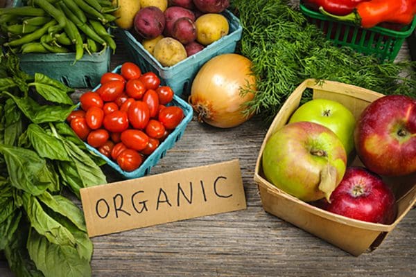 organic diet