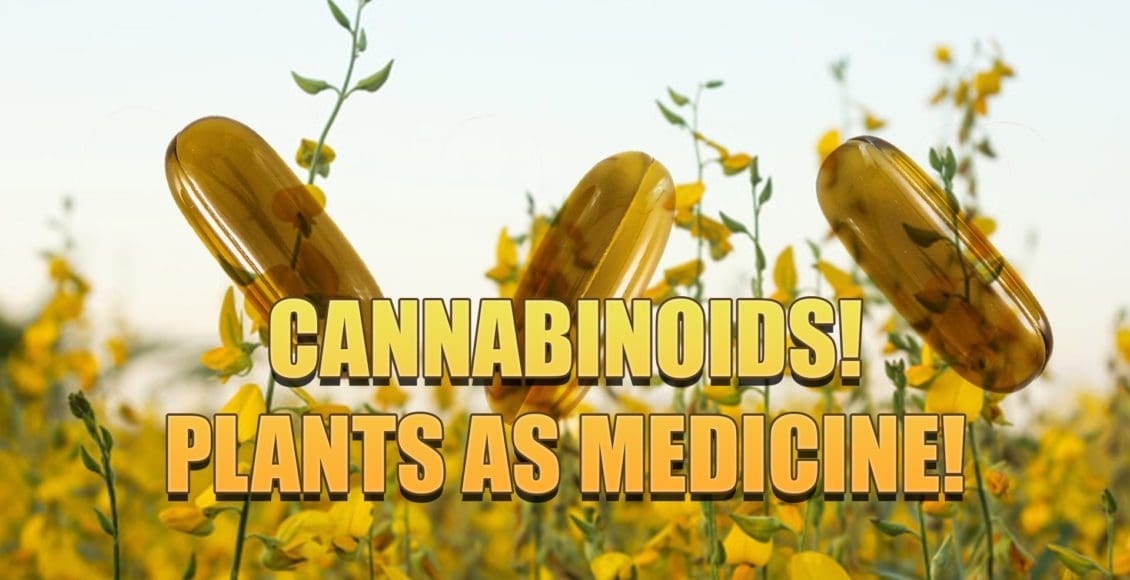 cannabinoids plant medicine el paso, tx.