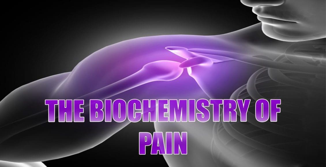 bioquímica del dolor el paso tx.