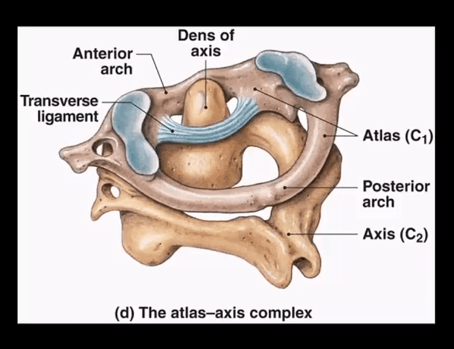 spinal trauma el paso tx.