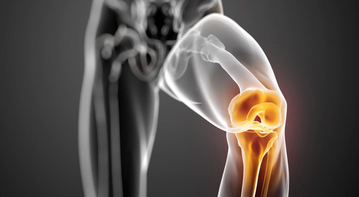 Basic Science of Human Knee Menisci Cover Image | El Paso, TX Chiropractor