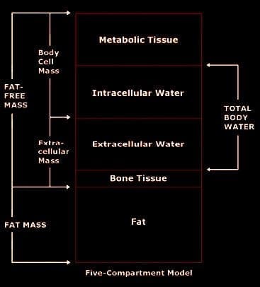 Test BIA Injury Medical & Chiropractic Wellness Clinic el paso, tx.