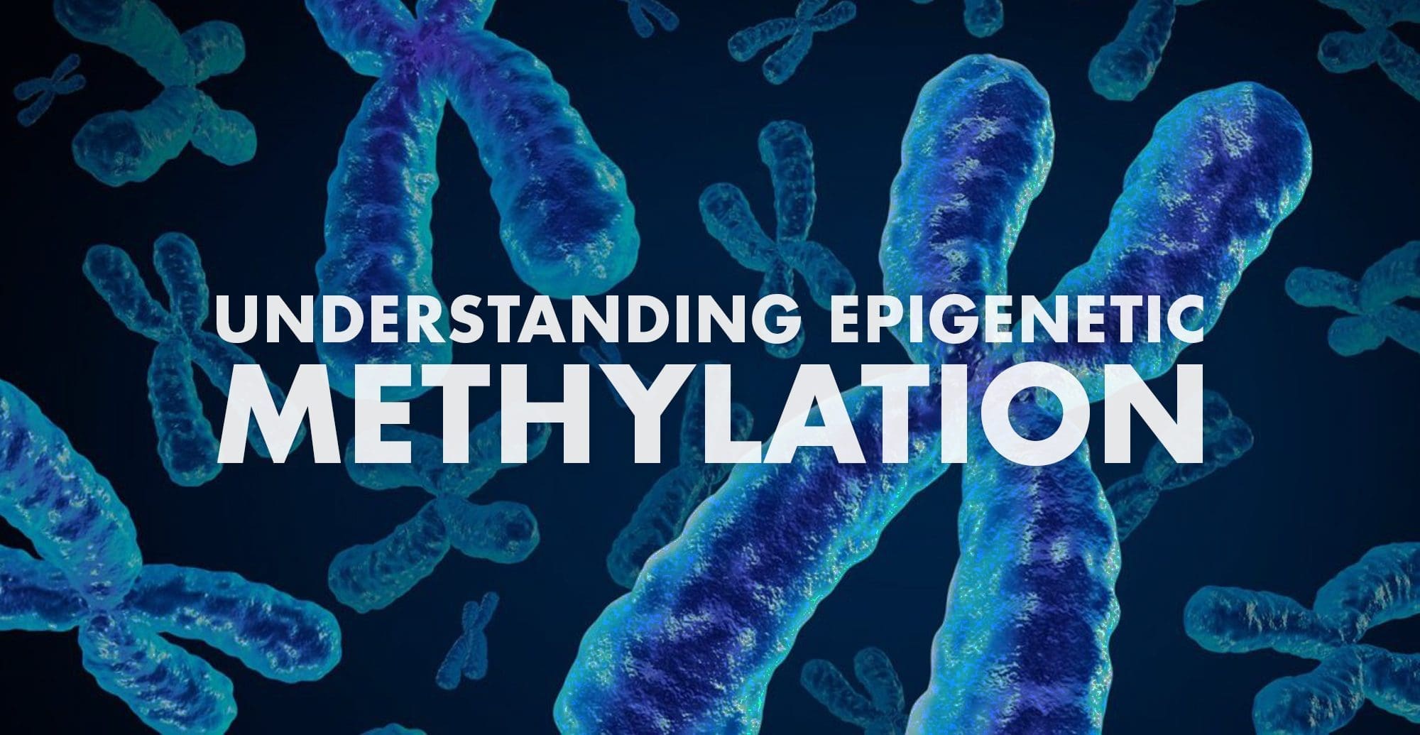 Understanding Epigenetic Methylation | El Paso, TX Chiropractor