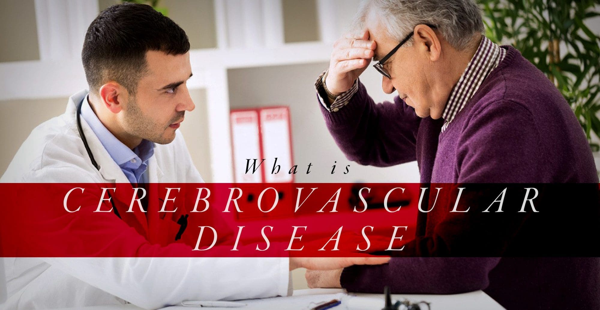 What is Cerebrovascular Disease? | El Paso, TX Chiropractor