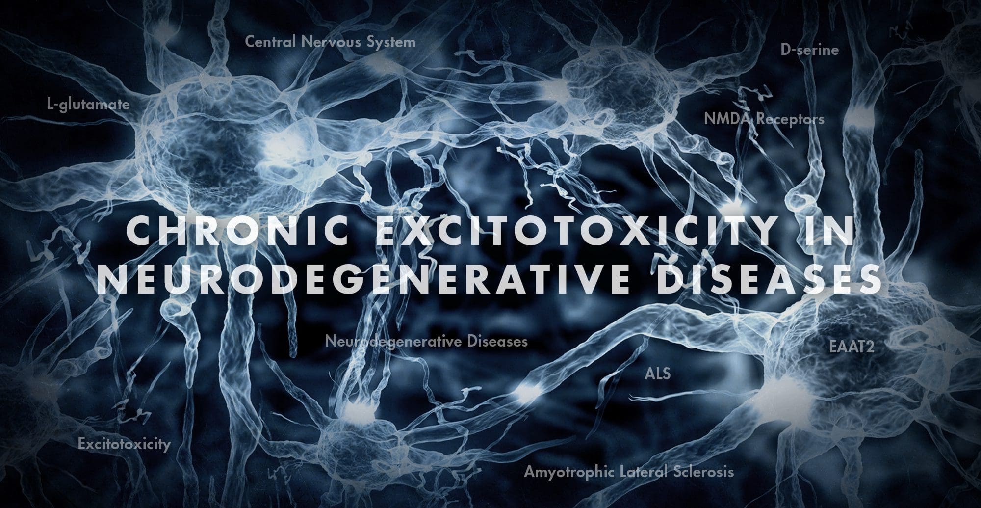 Functional Neurology: Chronic Excitotoxicity in Neurodegenerative Diseases Part 3 | El Paso, TX Chiropractor