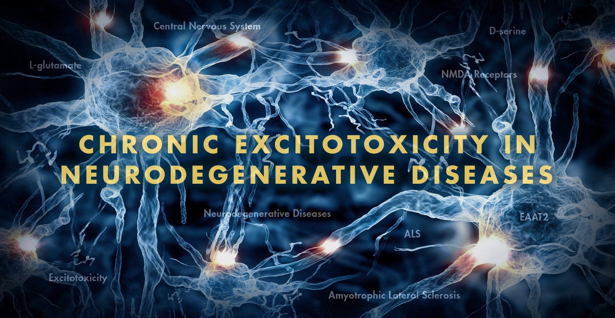 Functional Neurology: Chronic Excitotoxicity in Neurodegenerative Diseases Part 2 | El Paso, TX Chiropractor
