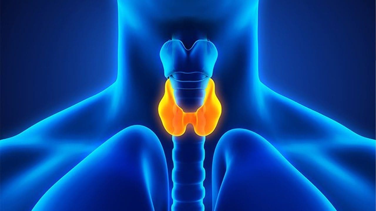 Functional Neurology: What is Hypothyroidism? | El Paso, TX Chiropractor