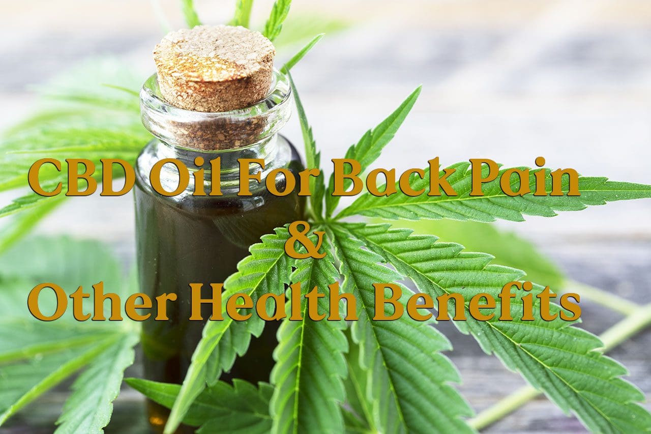11860 Vista Del Sol, Ste. 128 CBD Oil for Back Pain and Other Health Benefits