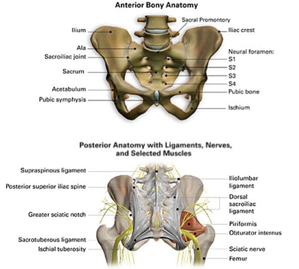 Chiropractic & Integrative Relief for Iliac Crest Pain