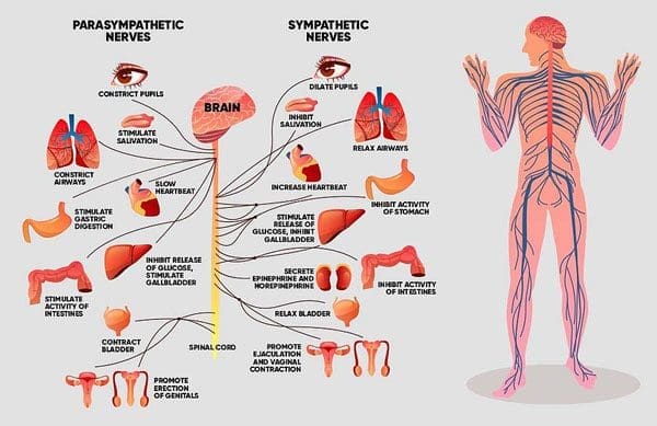 Car Accident Injury Toxicity: A Comprehensive Guide