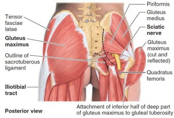 Healing a Gluteal Contusion: Treatment Options and Timeline