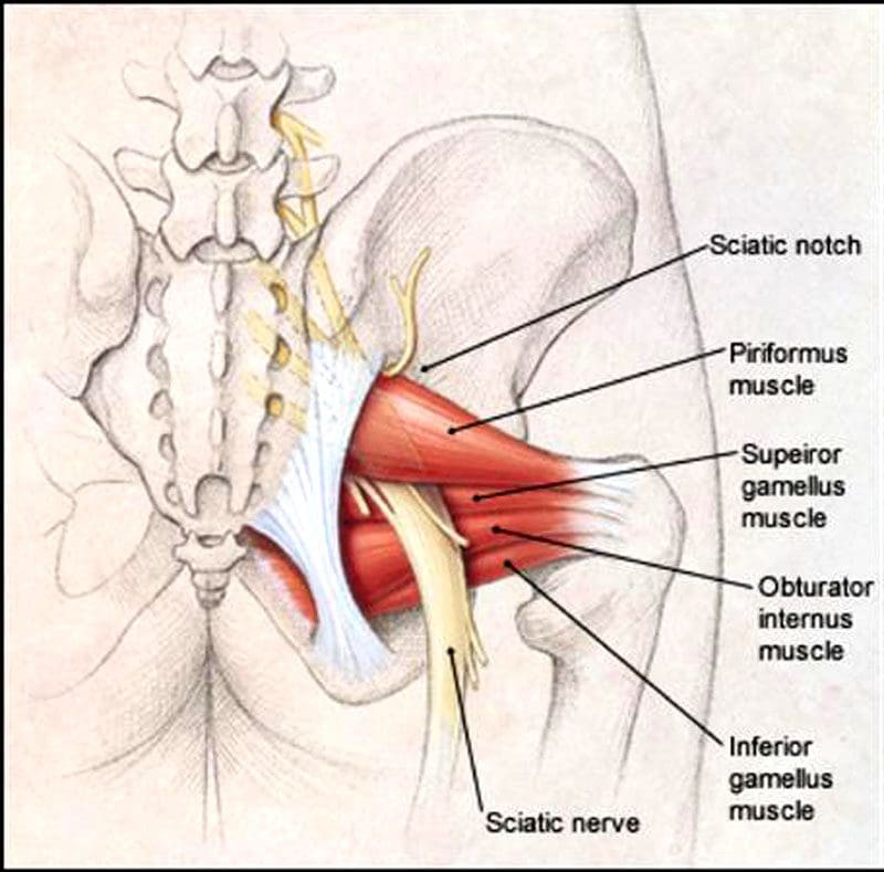 Running Piriformis Syndrome: EP's Chiropractic Specialist Team