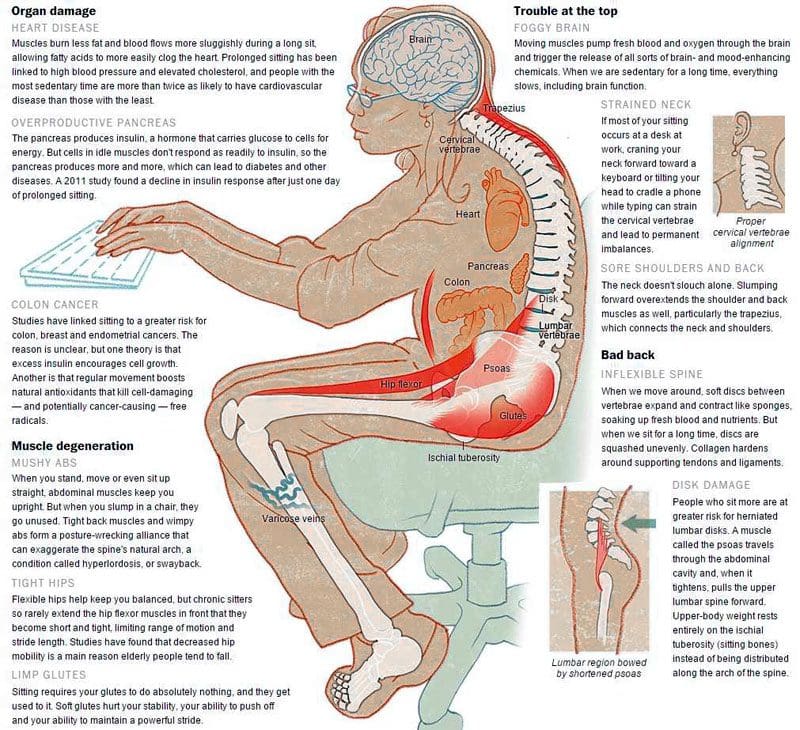 Reverse Sedentary Habits and Improve Health With Chiropractic