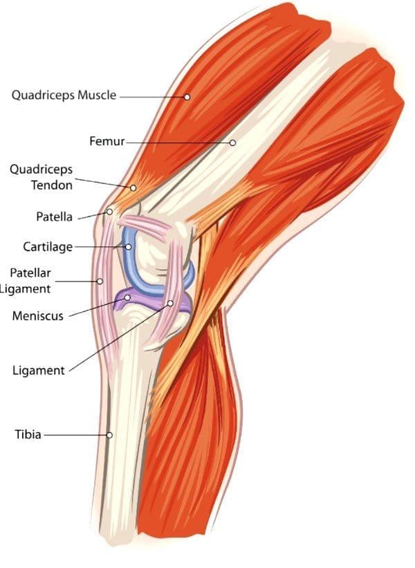 Poškodbe kolena pri dvigovanju uteži: čemu se je treba izogibati