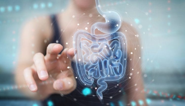 Restaurando la salud intestinal mediante la atención integral