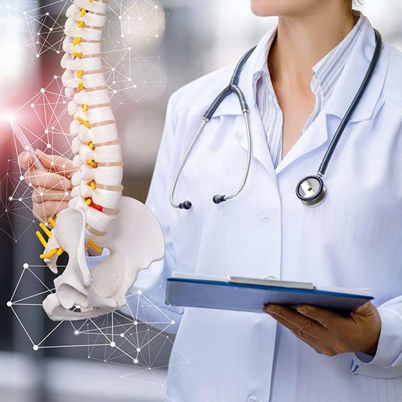 Chiropractic and Spinal Health