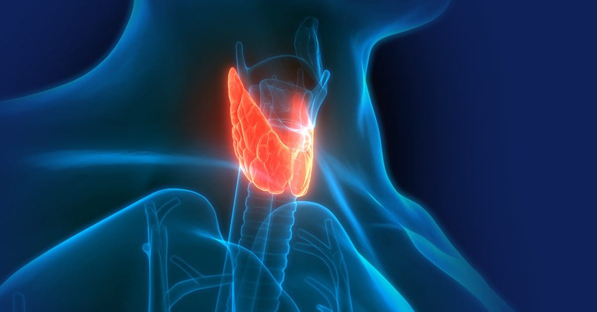 Thyroid Regenerative Therapy: What the Research Shows
