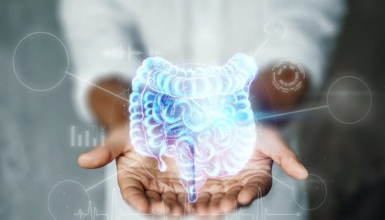 Chiropractic Gut Health Integration Insights for Recovery