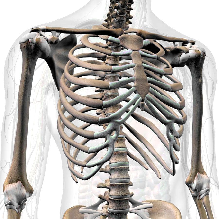 Identifying Proper Rib Cage Posture to Improve Health