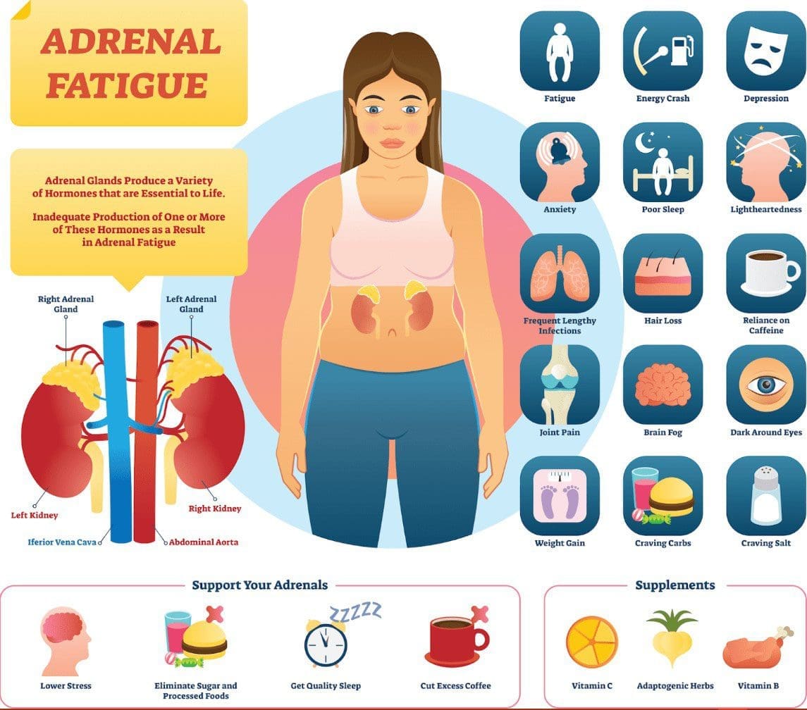 Nutrition Support for Adrenal Fatigue: A Food-Based Approach