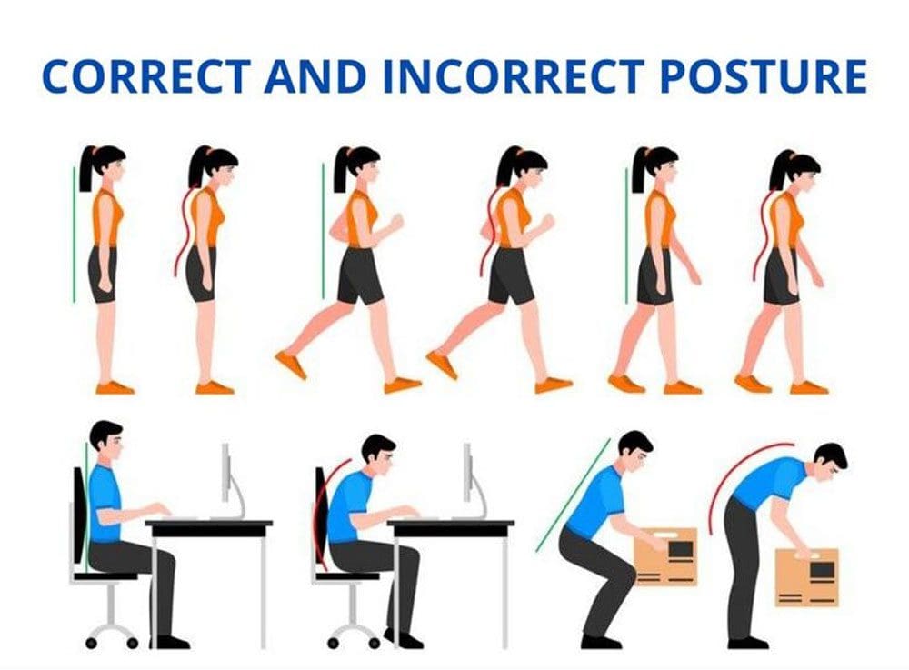 Healthy Posture Guidelines: EPs Chiropractic Team