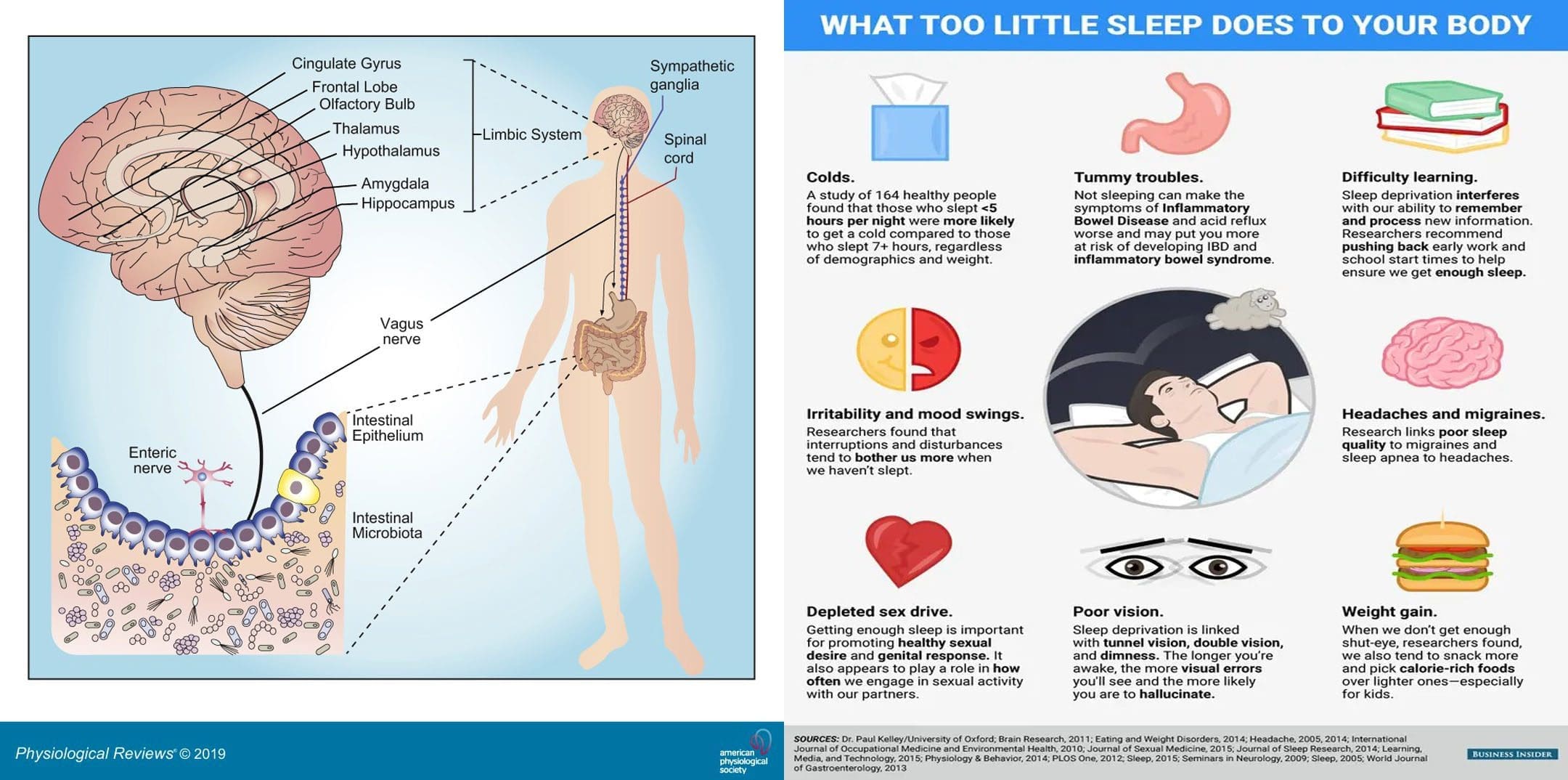 Uyku Bağırsak Sağlığını Etkiler: EP'nin Fonksiyonel Kayropraktik Kliniği