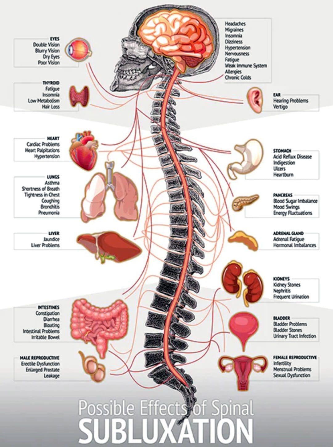 Body Misalignment Digestive Problems: EP Chiropractic Clinic