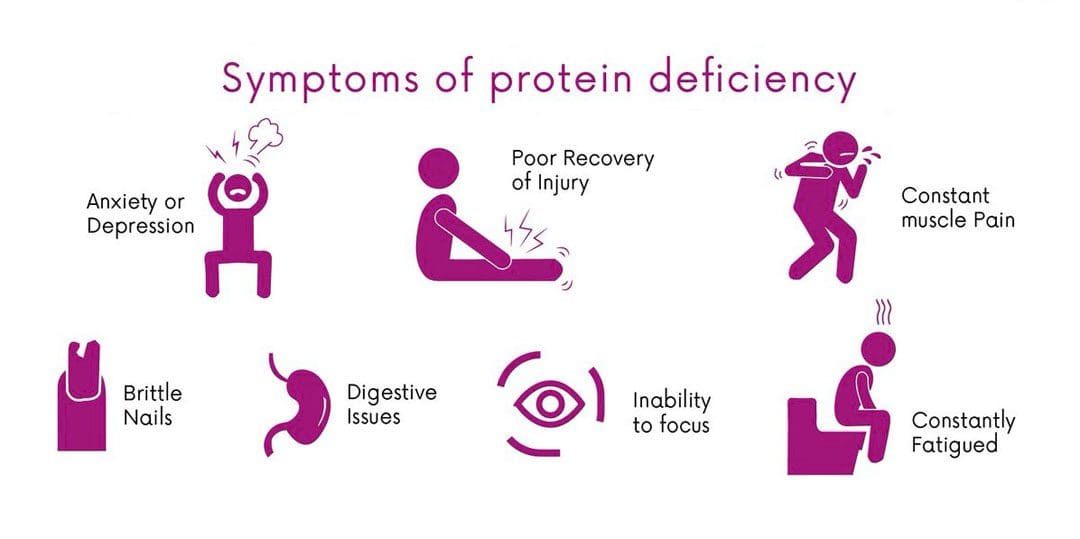Protein Deficiency: EP's Functional Chiropractic Clinic