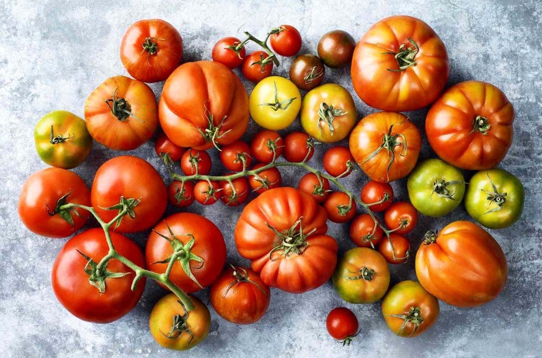 Tomato Nutrition: Health Benefits, Low Calories & Low Fat