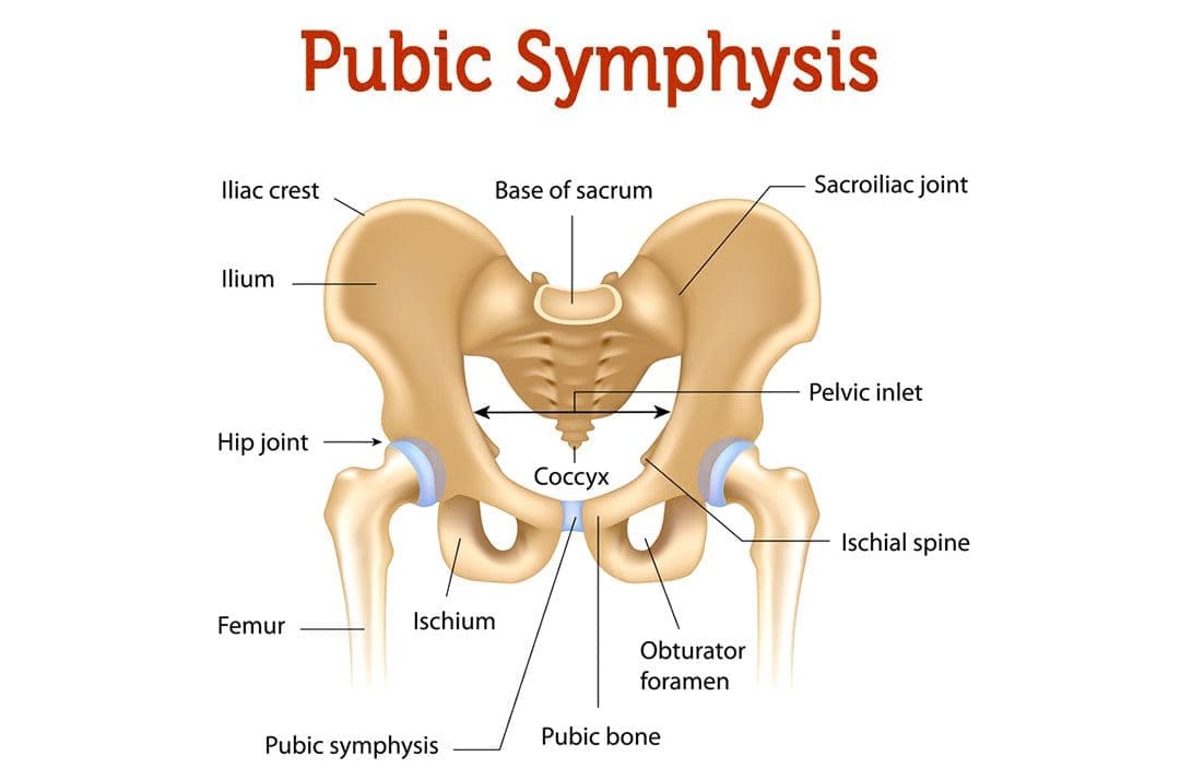 Osteitis Pubis Injury: Causes, Symptoms and Treatments