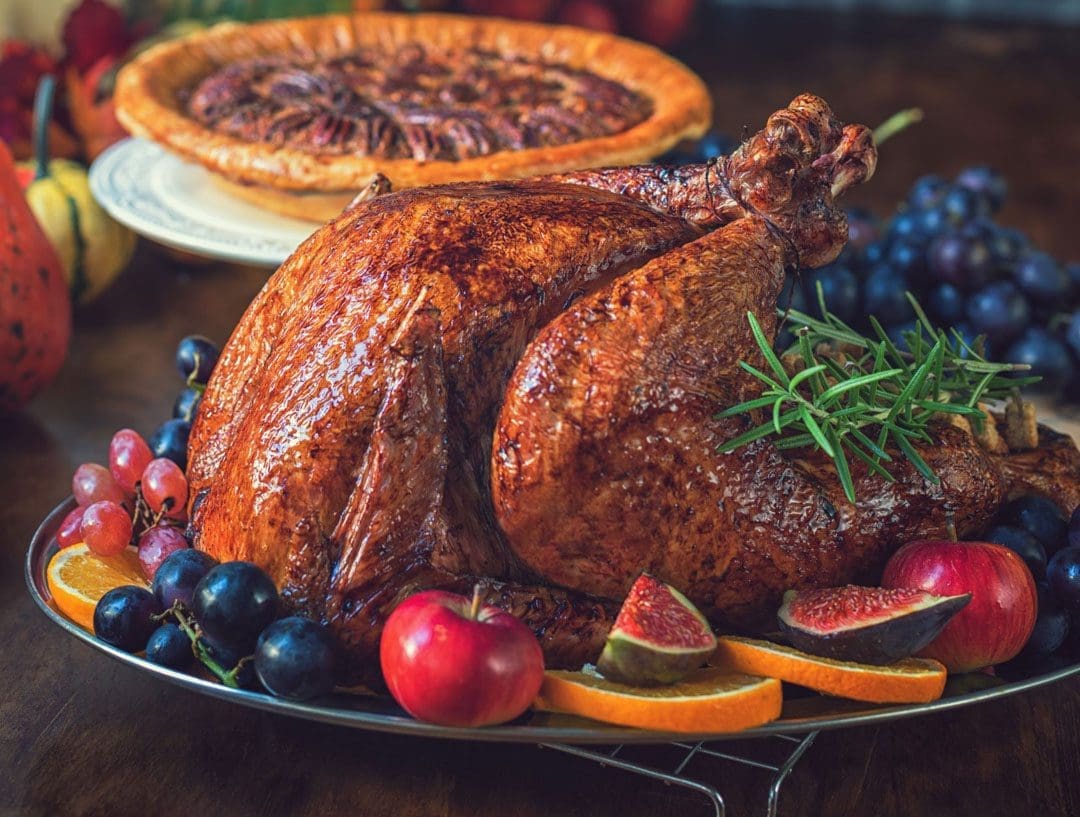 Turkey 101: All You Need to Know About Nutrition & Benefits