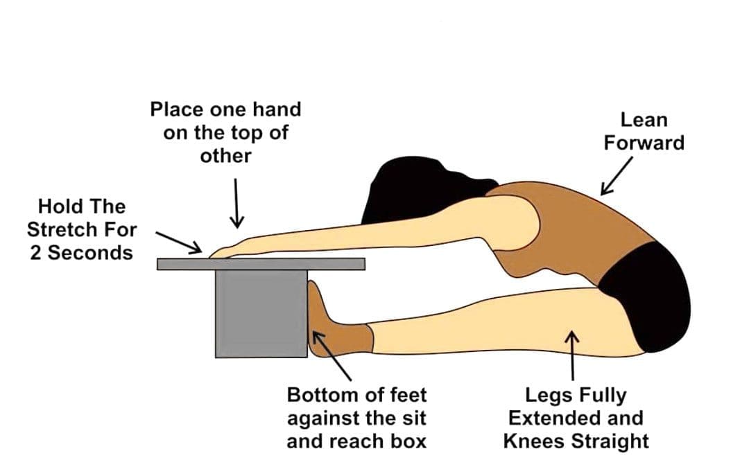 Sit and Reach Test for Lower Back and Hamstring Flexibility