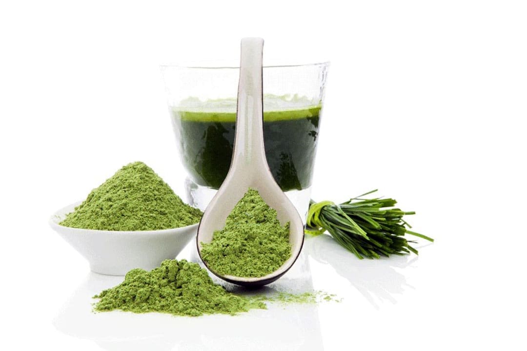Discover the Benefits of Green Powder Supplements