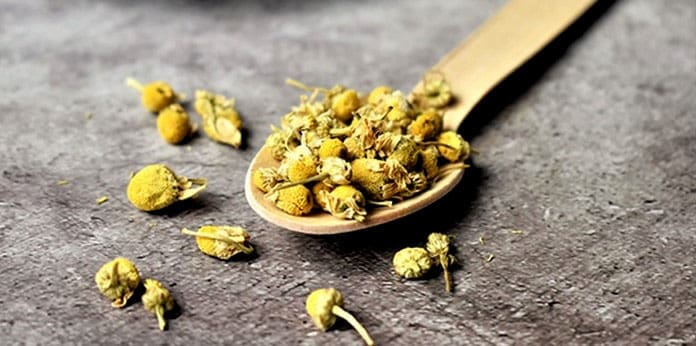 The Healing Properties of Chamomile Manzanilla Tea