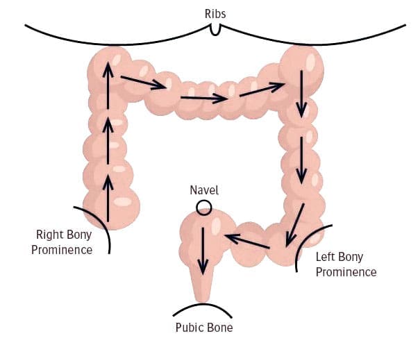 Abdominal Self Massage and Its Impact on Constipation