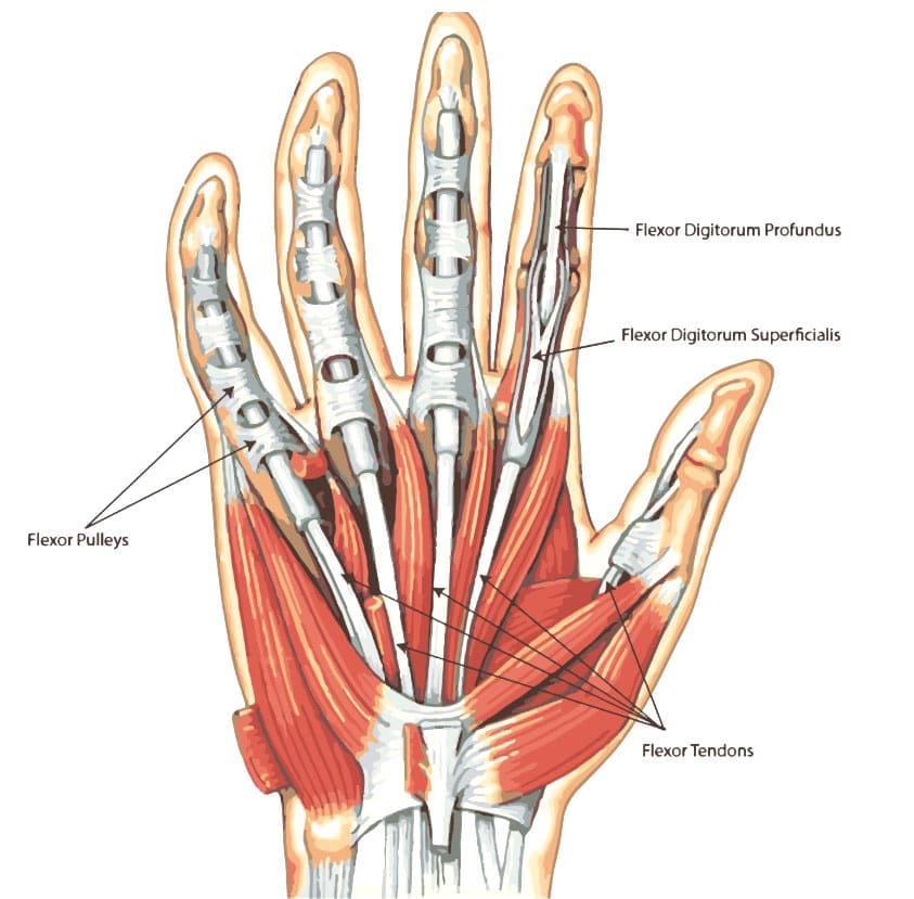 Finger Pulley Injuries: Care and Recovery