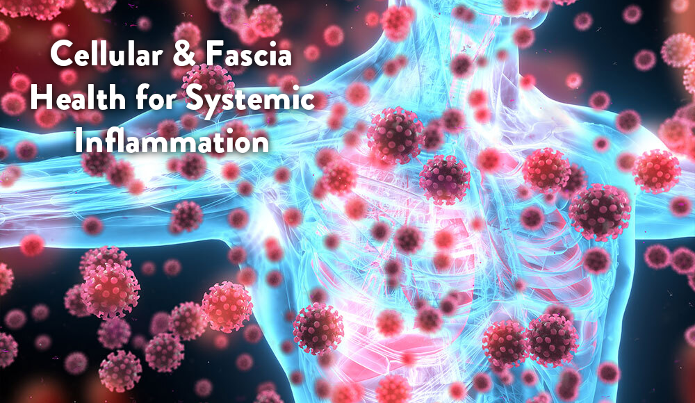 Fascia celular de inflamación sistémica