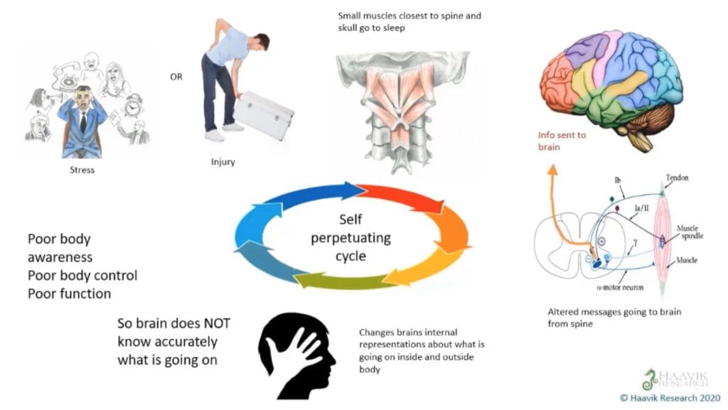 Chiropractic Adjustment